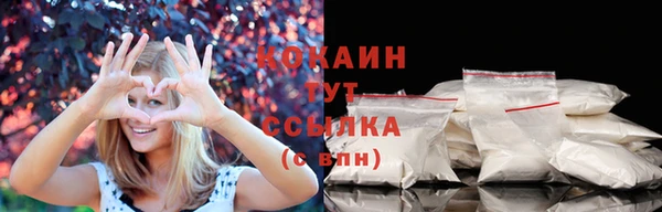 гашик Новокубанск