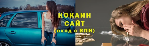 PSILOCYBIN Алзамай