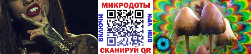 Псилоцибиновые грибы прущие грибы площадка клад Малаховка